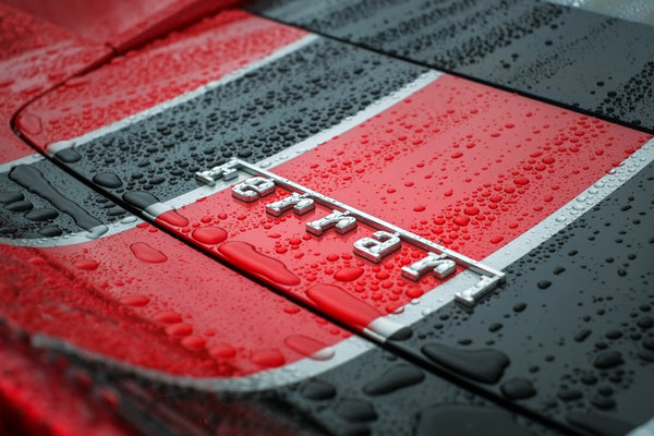 Ferrari Logo Emblem